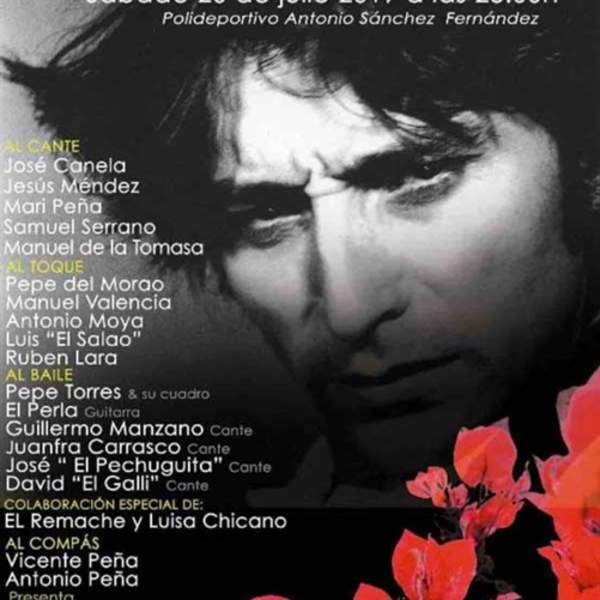 Festival de Cante Grande de Casabermeja