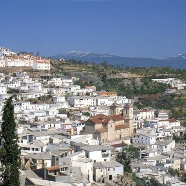 Murtas