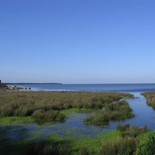 Doñana