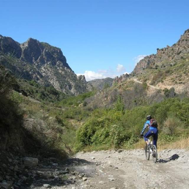 Transnevada