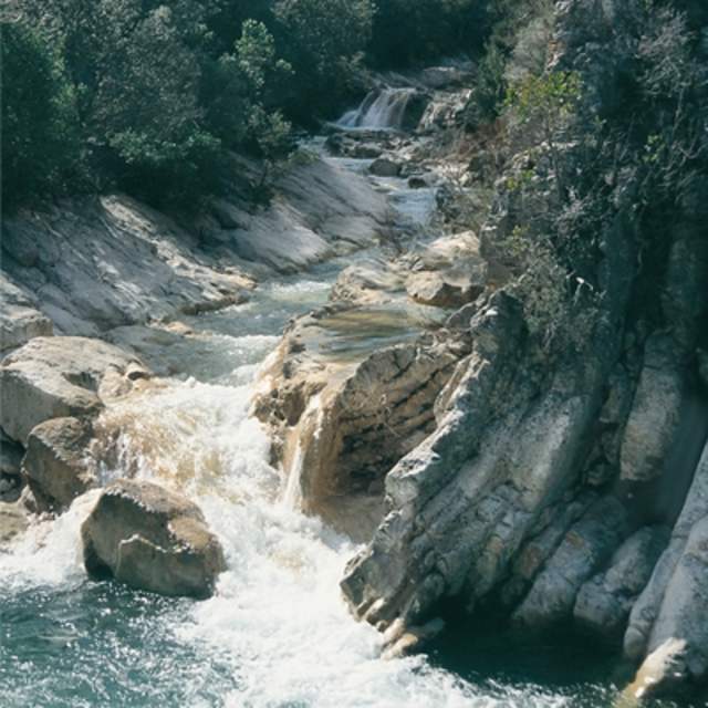 Andalucía Natural