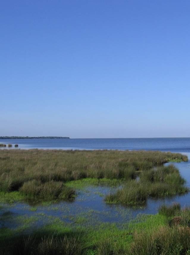 Doñana