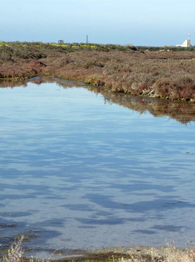 Bahía de Cádiz