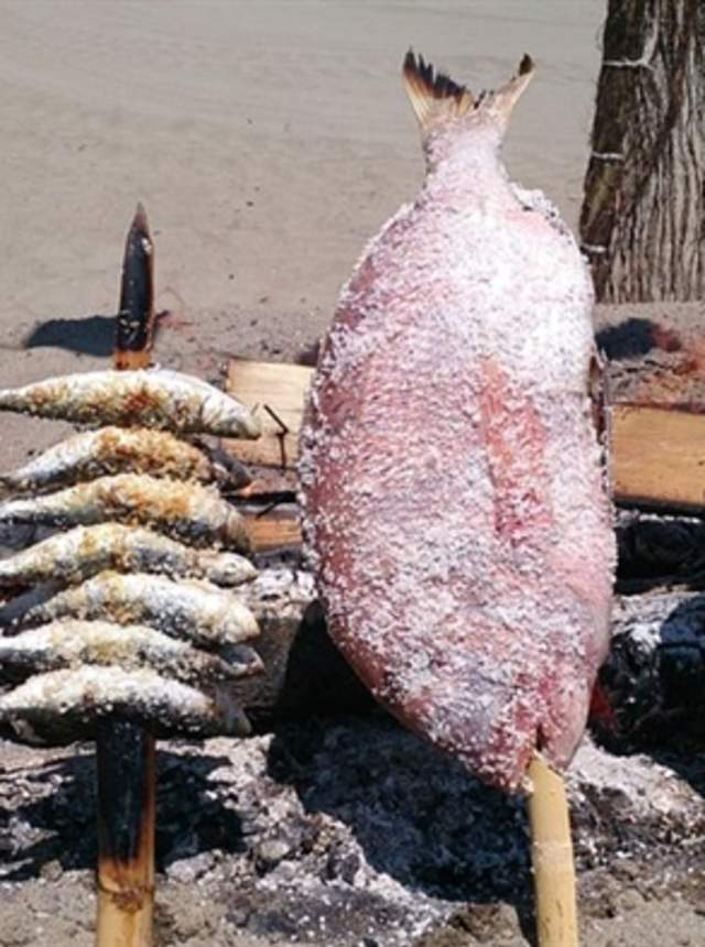 A Sailor in the Land: fish auction and seafood tapas in Estepona's port area