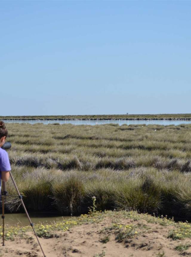 Ruta ornitológica por el Parque Natural de Doñana