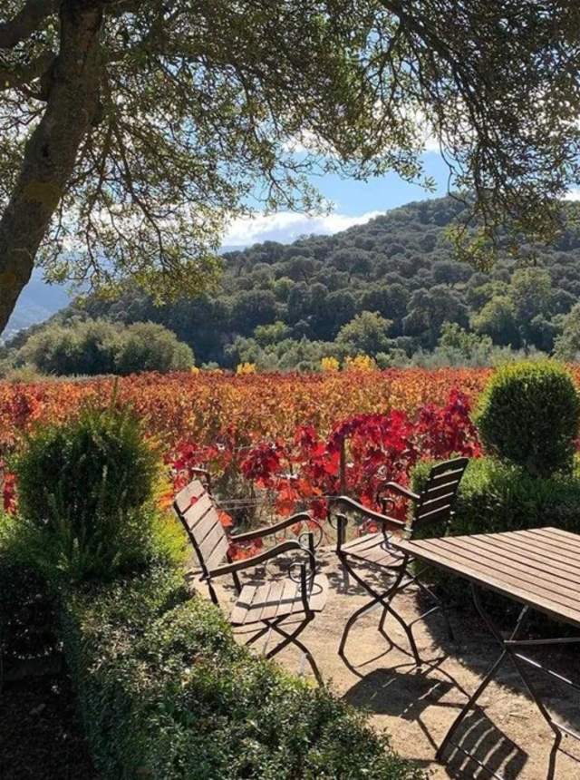 Experiencia biodinámica en bodega Federico Schatz en Ronda