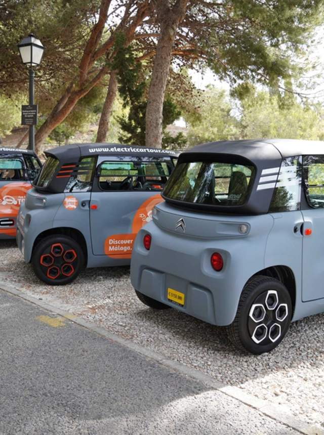 Lo mejor de Málaga en coche eléctrico con recogida en el puerto