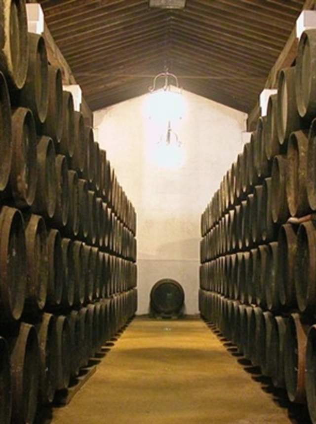 Visita Guiada Bodegas Álvaro Domecq con degustación de vinos