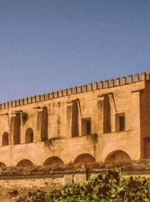 Visita Guiada al Monasterio de San Isidoro del Campo