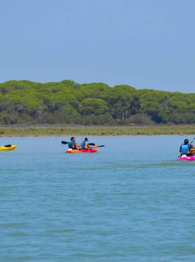 Ruta en kayak de Sanlúcar a Doñana