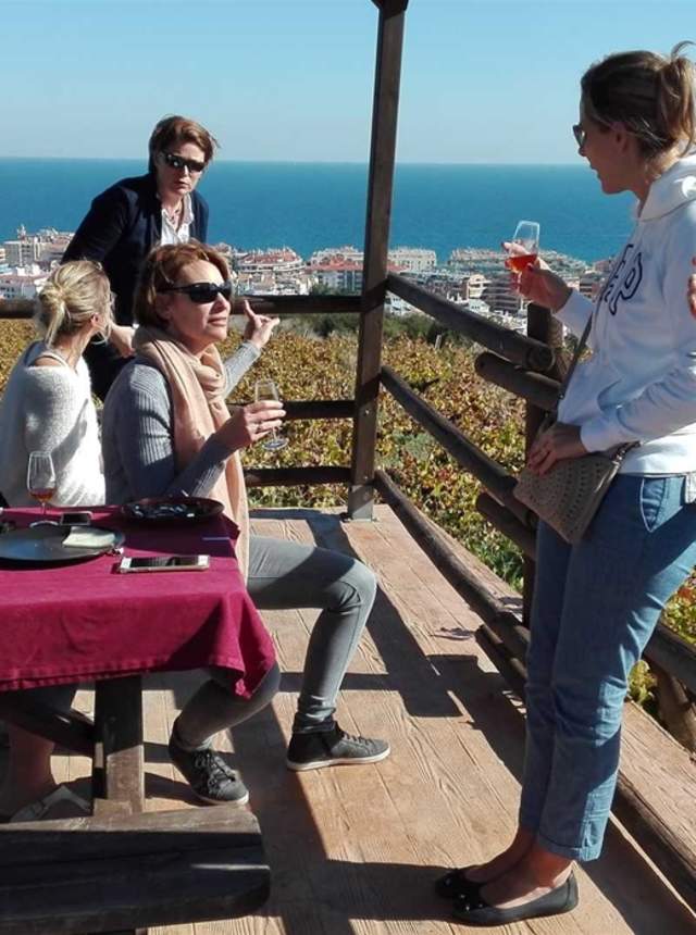 Visita bodega con degustación en viñedo y tapas mirando al Mar de Alborán