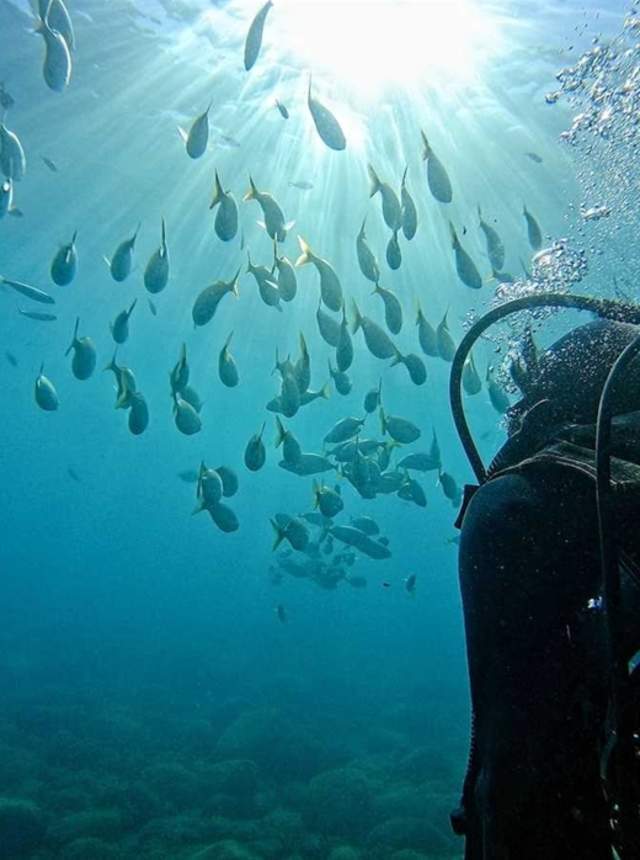 Bautismo de buceo para dos personas en La Herradura