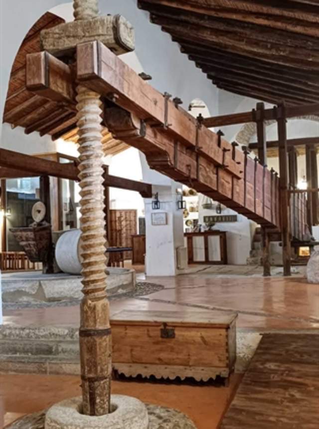 Viaje en el Tiempo: Visita guiada a una Almazara de Aceite del S. XIX. Molino de las Pilas en Teba, Malaga