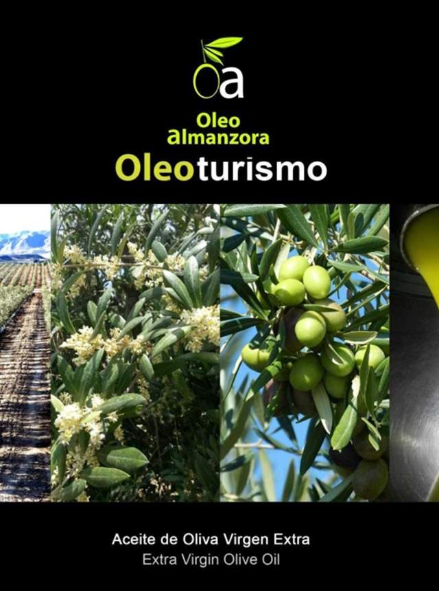 Visita con desayuno / merienda saludable y masterclass de cata sensorial de AOVE