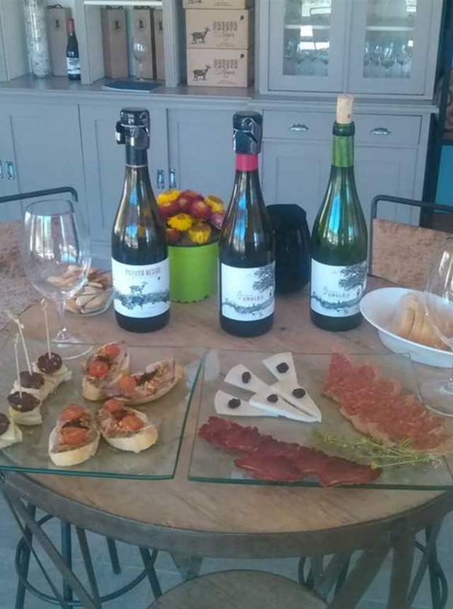 Visita Bodega La Melonera