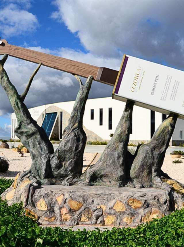 Visita guiada Oleotour Cazorla y al Acebuche Milenario Las Hoyas