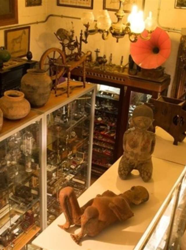 Experiencia Majestic Toro Albalá