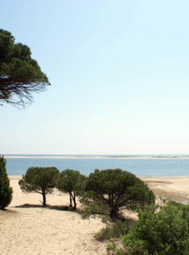 Caño de la Culata