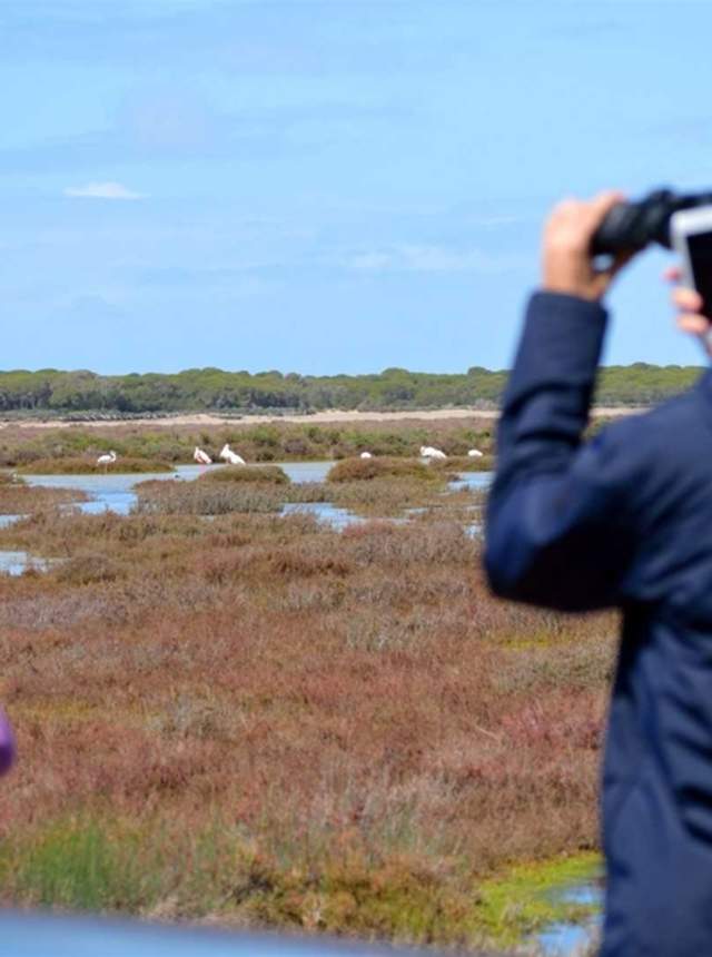 Visita al Parque Natural de Doñana en todoterreno