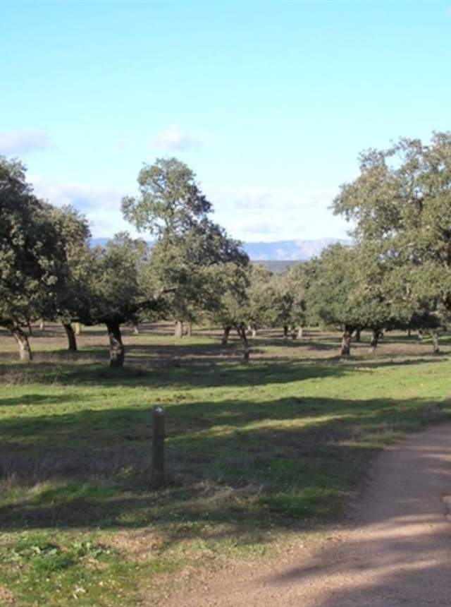Aldea del Cerezo-Venta del Charco
