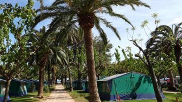 Camping Sierra Brava photo 2