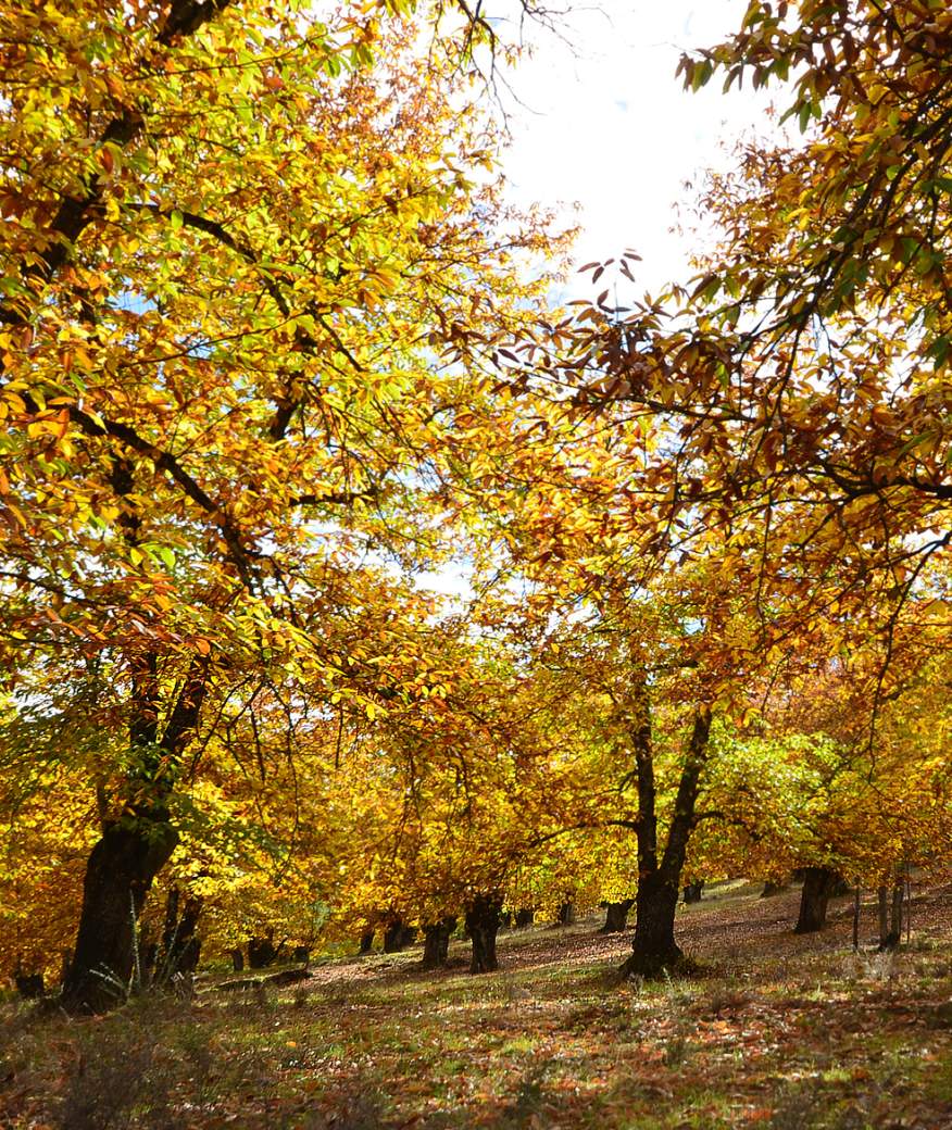 Andalucía en Otoño