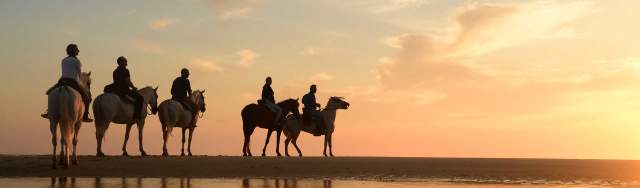 Imagen Primaria - Un paseo por las orillas de las mejores playas de Andalucía