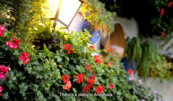 Christmas with a difference all thanks to Rute's flavours and aromas