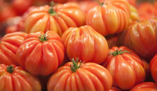 La huerta: agua y sol, la mágica alquimia andaluza
