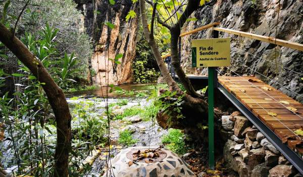 Adelfal de Cuadros y Cornicabral de Mágina
