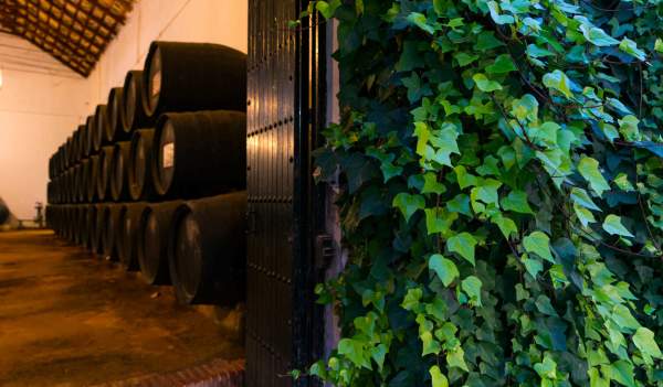Montilla y la artesanía del vino
