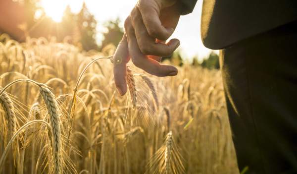 Conociendo las ecoaldeas. El caso almeriense