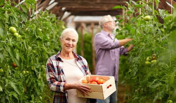 Andalucía en clave eco: agroturismo ecológico, restaurantes sostenibles y productos km 0