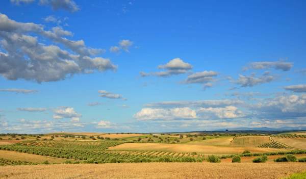 La siega: la cultura del pan y la cerveza