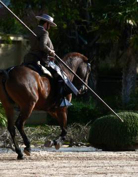 Equestrian ballet "How horses dance”