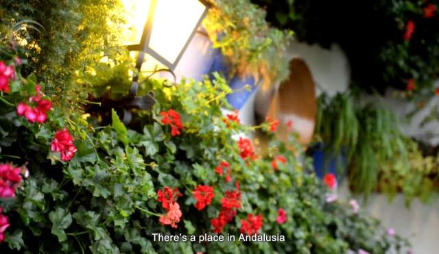 Christmas with a difference all thanks to Rute's flavours and aromas