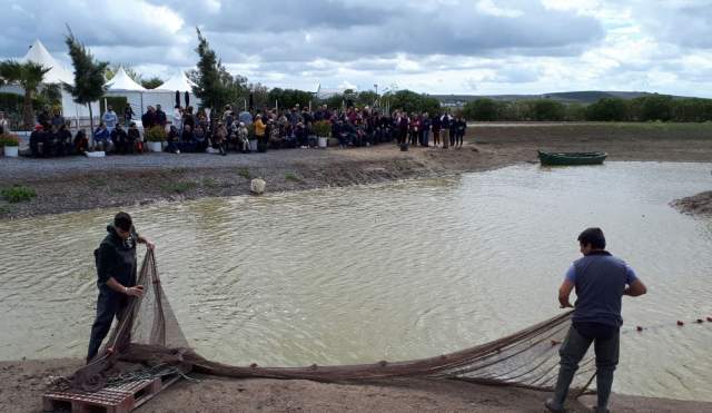 Los despesques artesanales