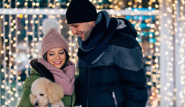 Lugares mágicos de Andalucía para celebrar la navidad con tu mascota