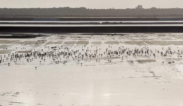 4 Parques Naturales de Andalucía para hacer senderismo en familia.