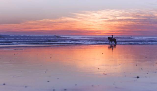 Hawai, Bombai o Cádiz