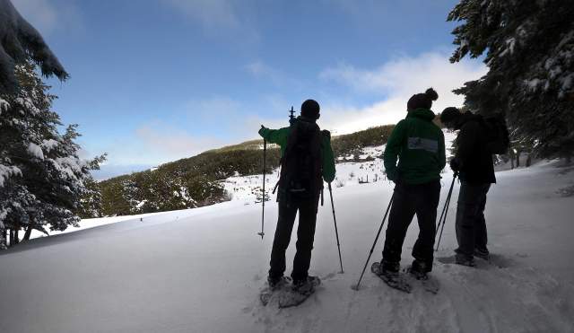 Raquetas de nieve por los bosques de Sierra Nevada
