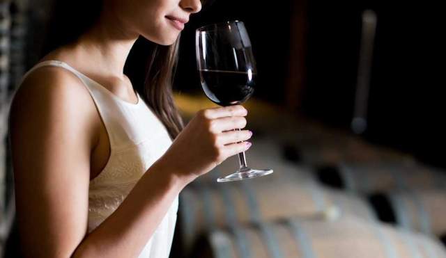 Vinos de Andalucía: bodegas, fiestas, vendimia y catas que no te puedes perder