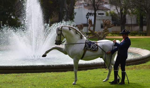 Ruta por Cádiz para Mujeres que Viajan Solas