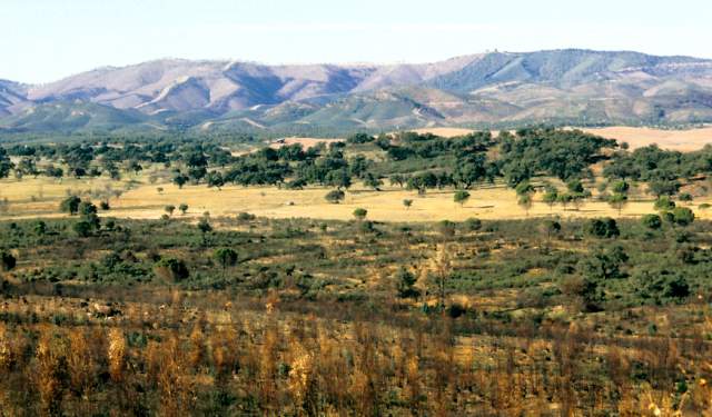 El Andevalo