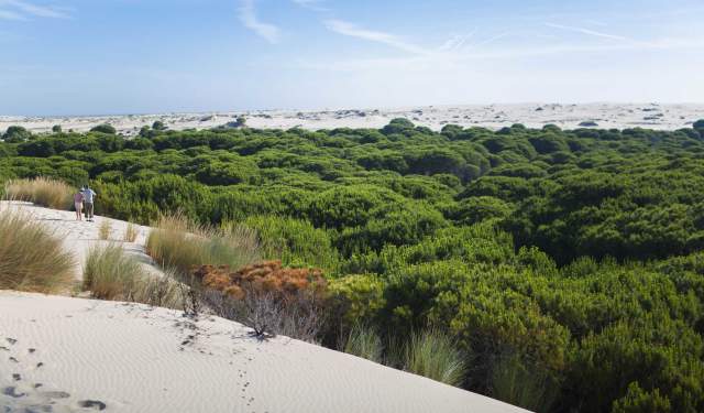 Doñana, más allá del lince