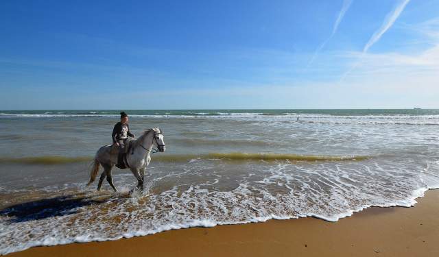 Ruta a caballo por las playas de Doñana al atardecer