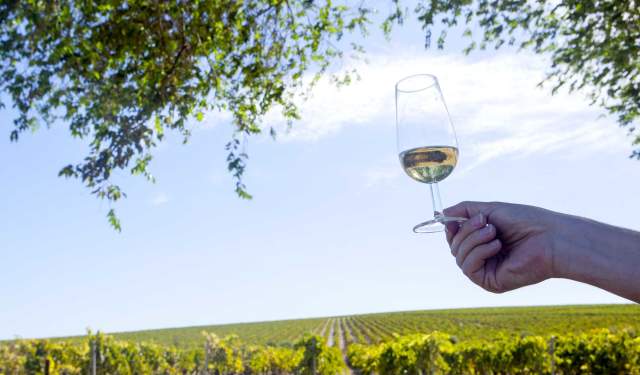 4 Fiestas de otoño en Andalucía a las que tienes que asistir una vez en la vida