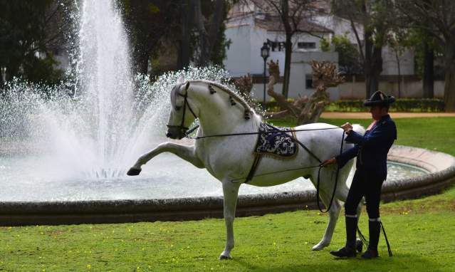 Ruta por Cádiz para Mujeres que Viajan Solas