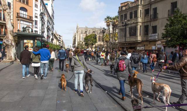 Die besten Hundeparks in Sevilla