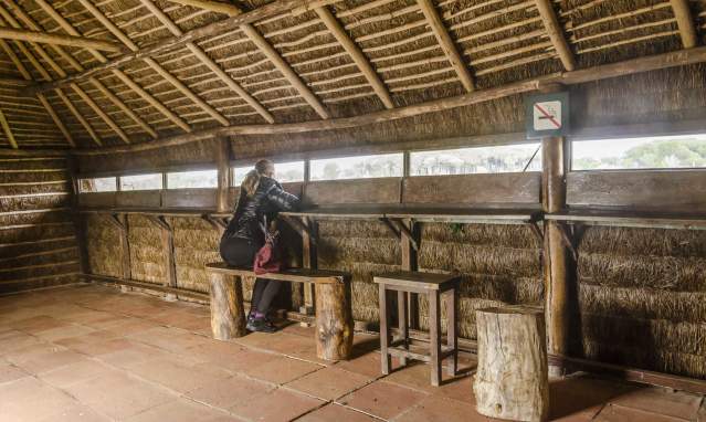 Birdwatching in Doñana